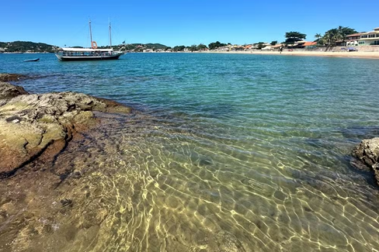 Captura-de-tela-2025-01-12-183902